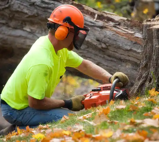 tree services Hardin